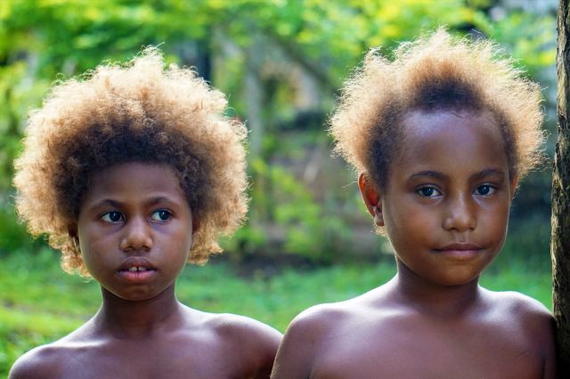 Papua - Krauses Haar
