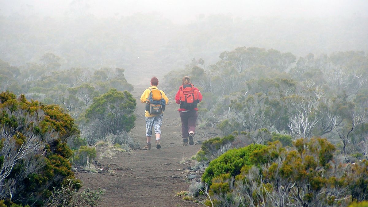 Wandern im Nebel auf La Réunion