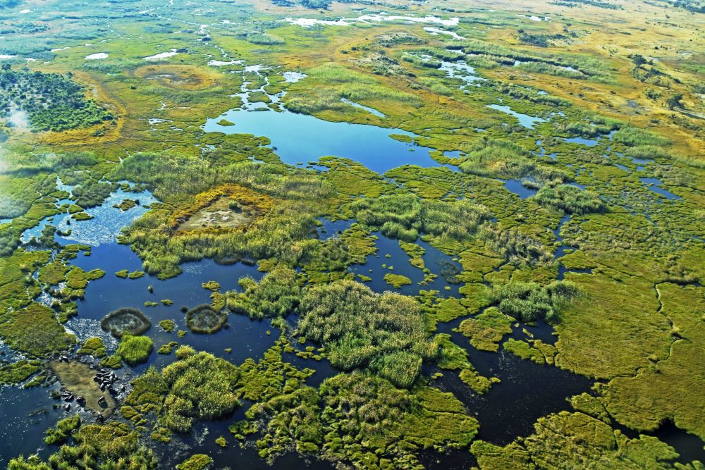 Okavango-Delta: das riesige Feuchtgebiet, lässt sich eigentlich nur aus der Luft begreifen.