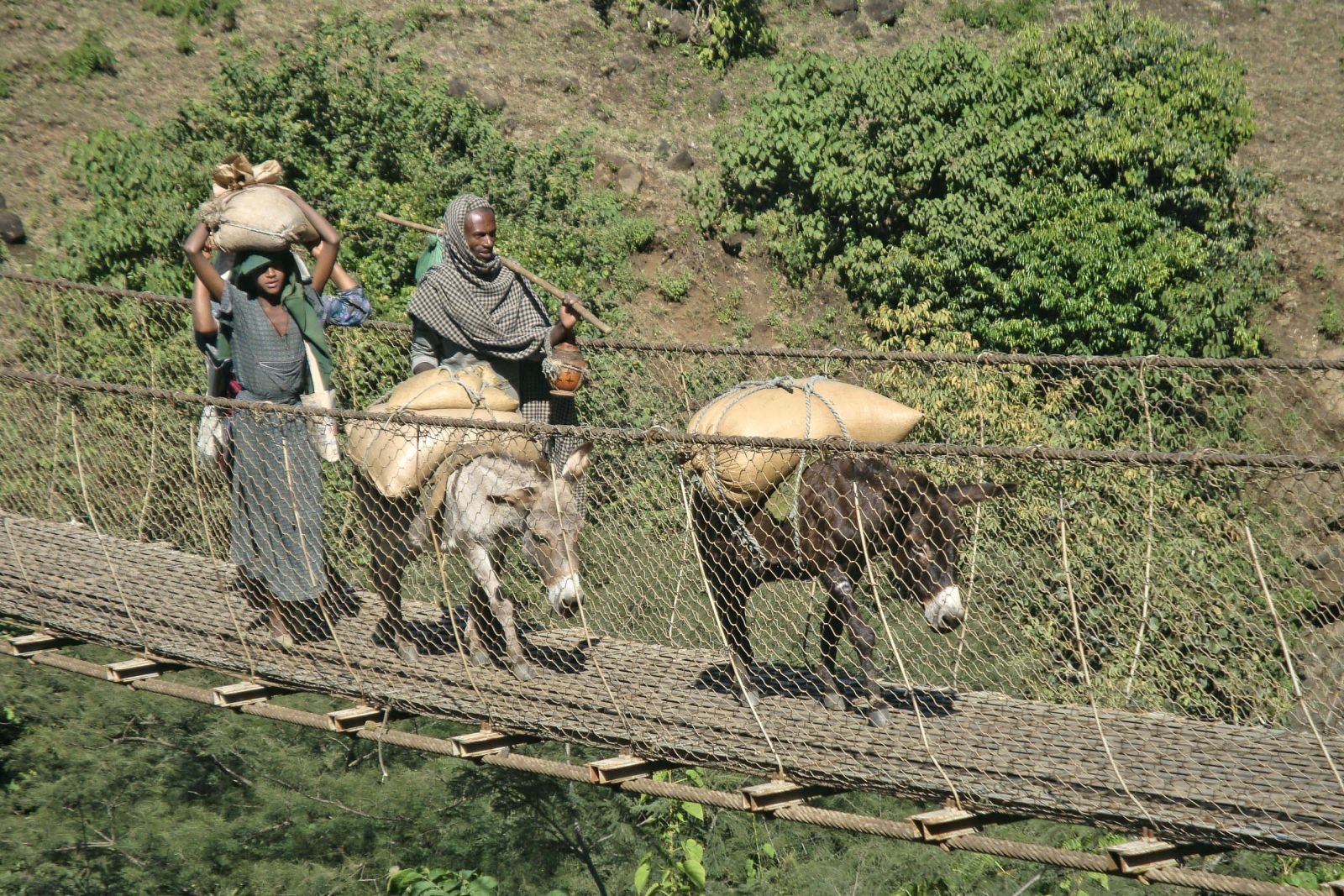 Bauern in Nordöthiopien