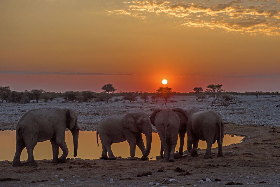 Sonnenuntergang im Etosha-Nationalpark