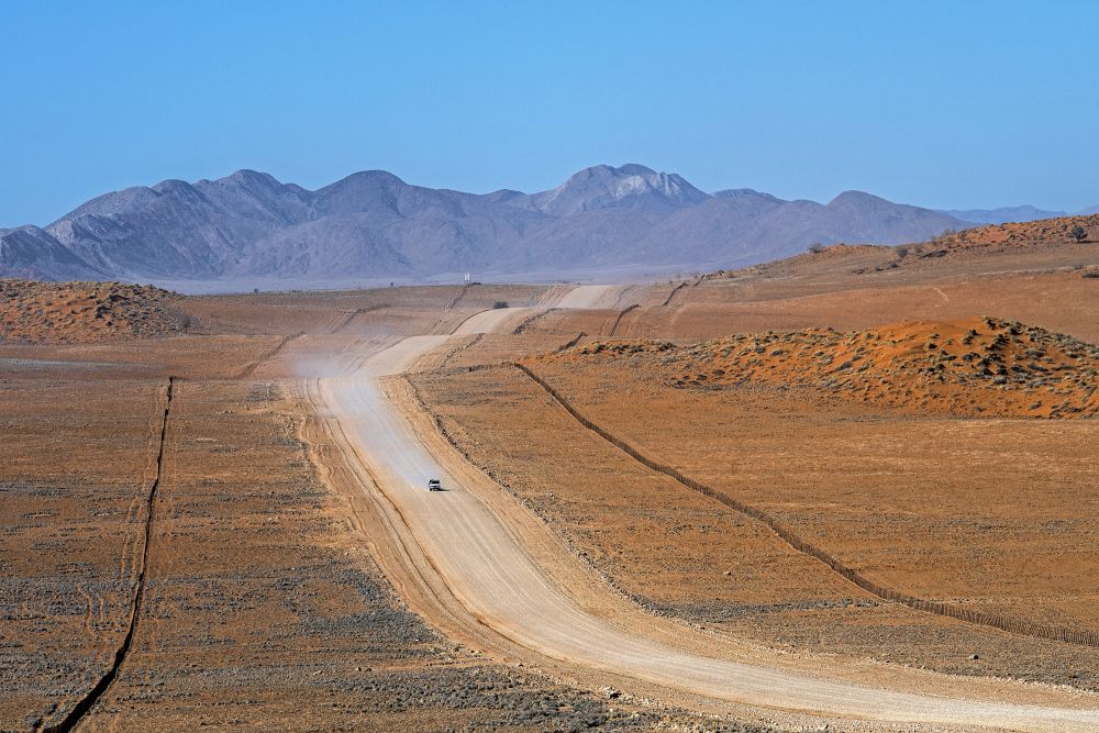 Entdeckungen in der Namib