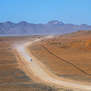 Entdeckungen in der Namib
