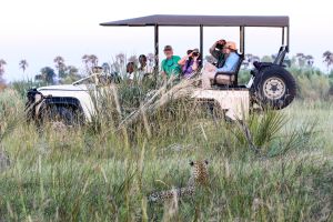 Safari im Okavango-Delta