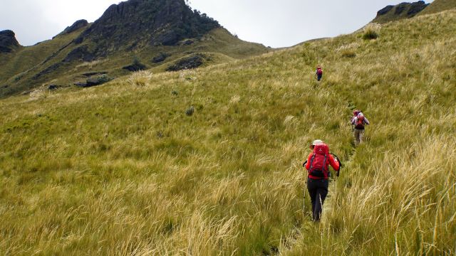 Durch hohes Paramo-Gras zum Gipfel des Pasachoa (4200 m)