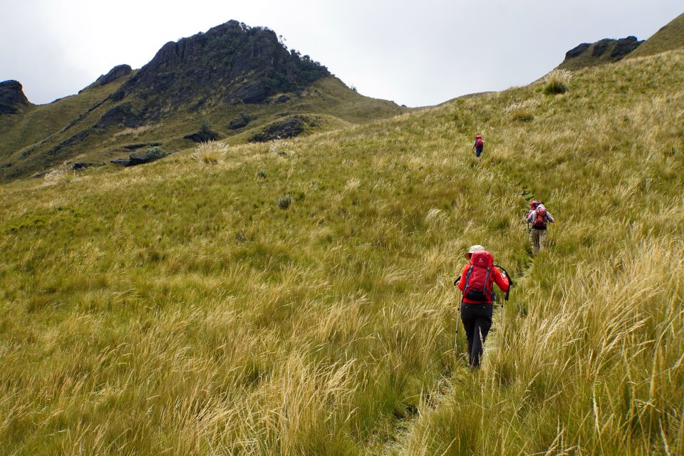 Durch hohes Paramo-Gras zum Gipfel des Pasachoa (4200 m)