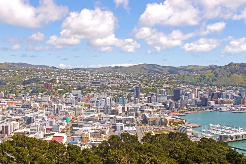 Blick über Wellington