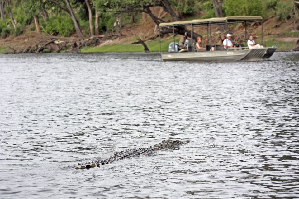 Andere Erlebnisse im Boot auf dem Chobe-Fluss