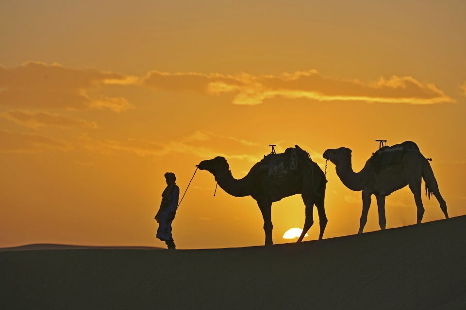 Abendstimmung in der Wüste