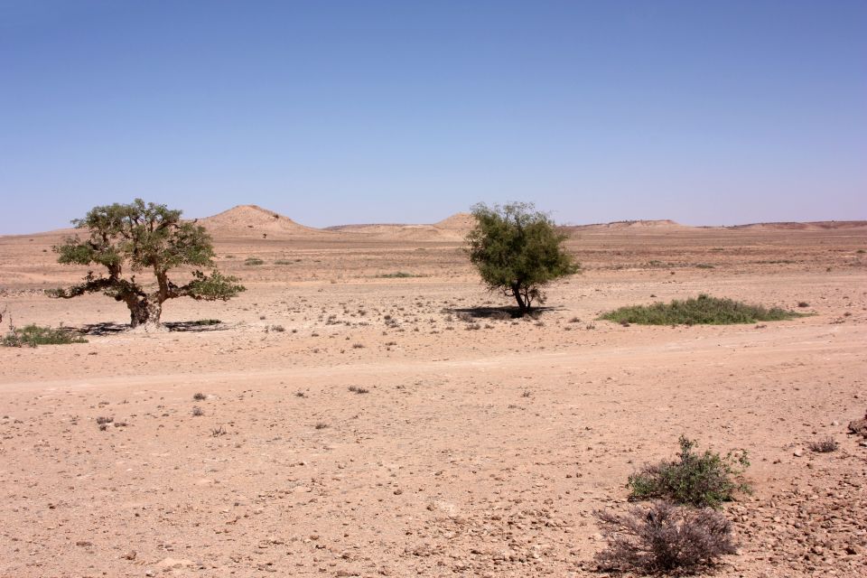 Landschaft unterwegs in Somaliland