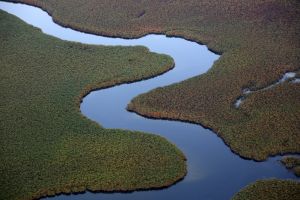 Zu empfehlen: Flug über das Okavango-Delta