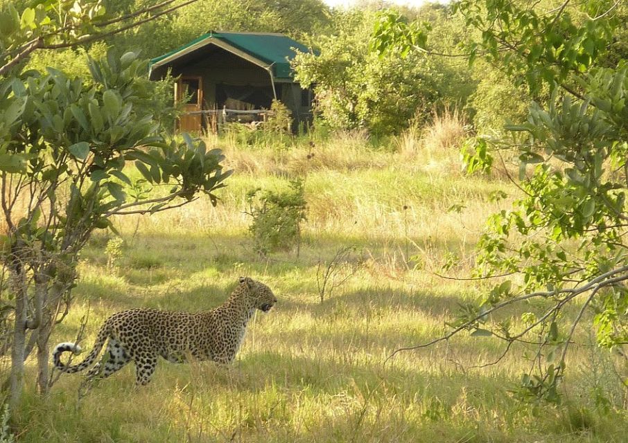 Sango Safari Camp, tierreiche Umgebung
