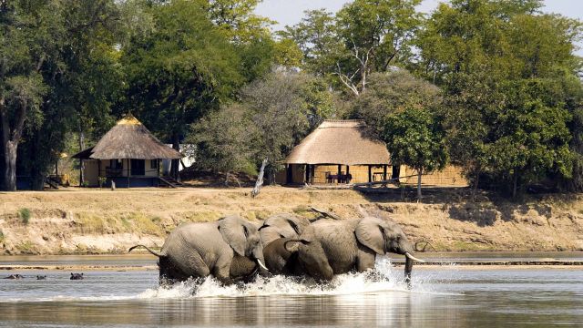 Elefantenbesuch im Nsefu Camp