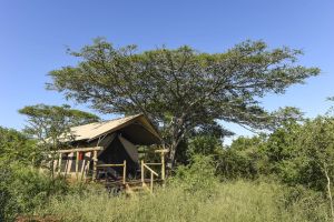 Hauszelt in der Zululand Lodge
