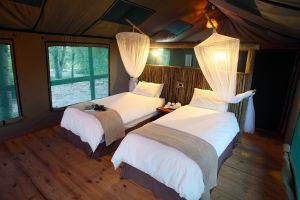 Nata Lodge: Safarizelt