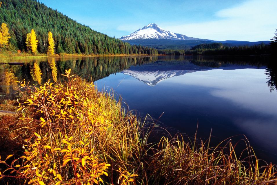 Der herbstliche Mount Hood spiegelt sich im Trillium Lake, Oregon
