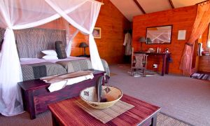 Bagatelle Kalahari Game Ranch Zimmer
