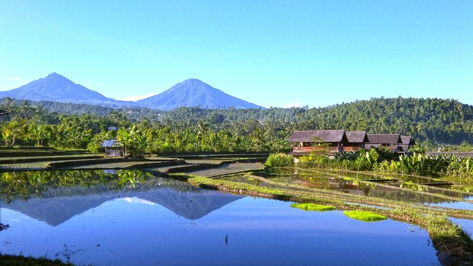 Ankommen: Eco Retreat auf Bali