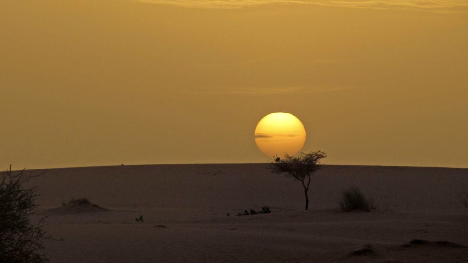 Abendstimmung in der Wüste Mauretaniens