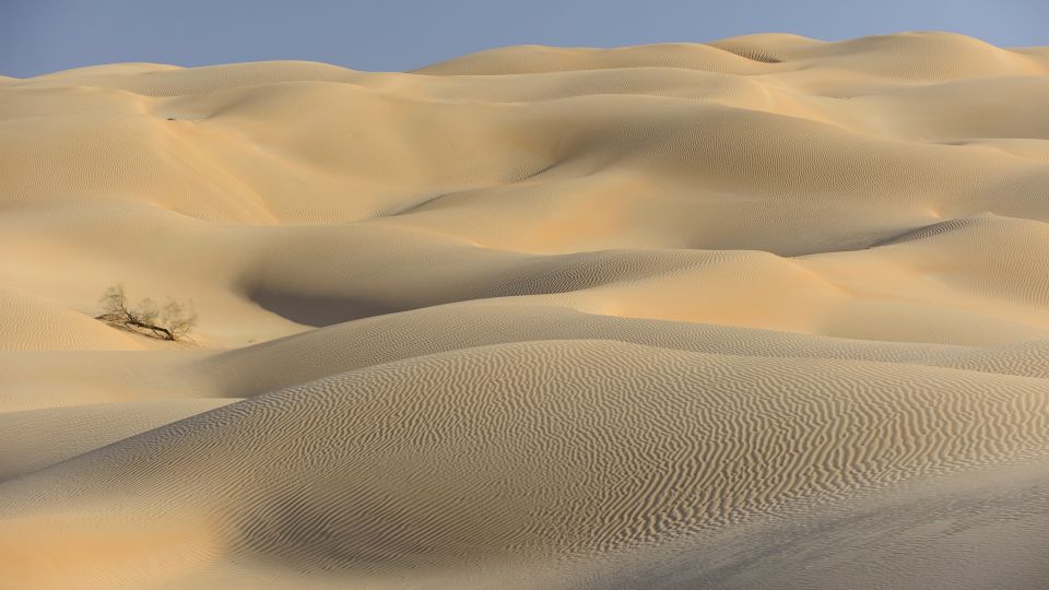 Wind, Sand und Weite: helle Sanddünen in der Rub al-Khali