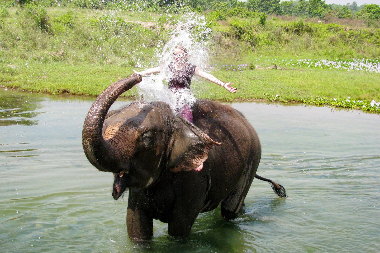 Bad mit Elefanten im Chitwan-Nationalpark