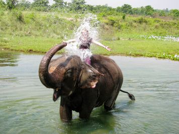 Bad mit Elefanten im Chitwan Nationalpark