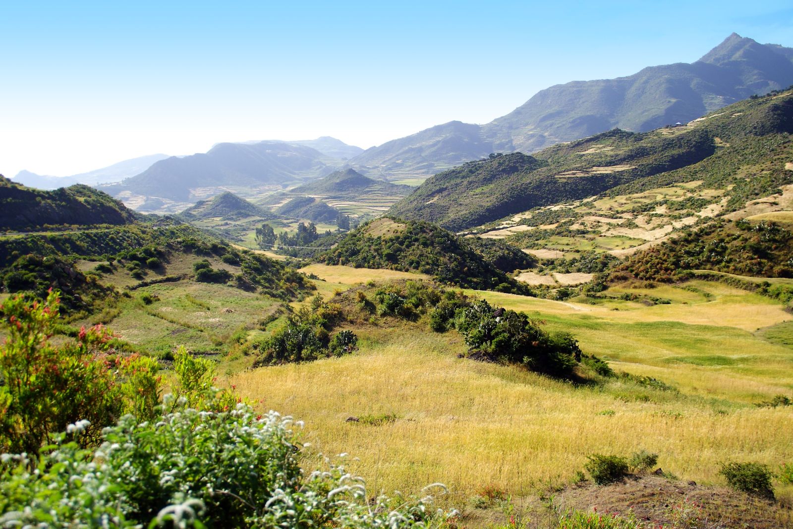 Landschafts- und Bergszenerie in Nordäthiopien