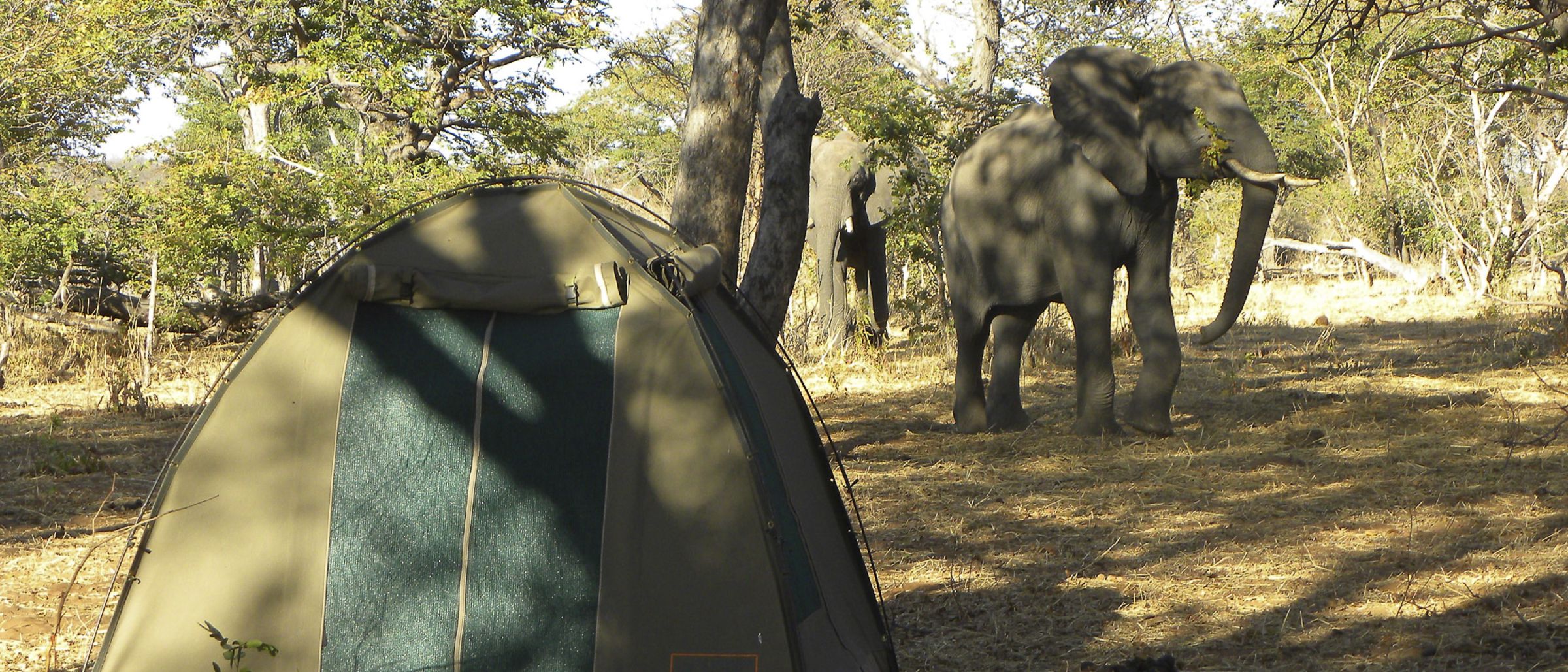 Botswana Moremi Campsite, Zeltübernachtung