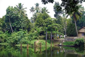 Backwaters in Kerala - ein Süßwassersystem aus Flüssen, Kanälen und Seen