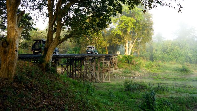 Holzbrücke im Kaziranga Nationalpark