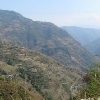 Reisterrassen auf den Hügeln Nepals