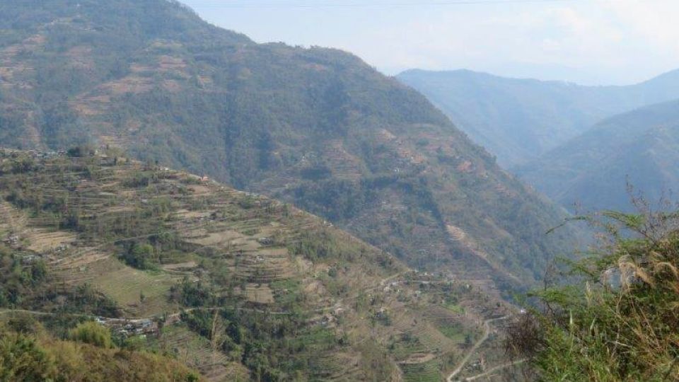 Reisterrassen auf den Hügeln Nepals