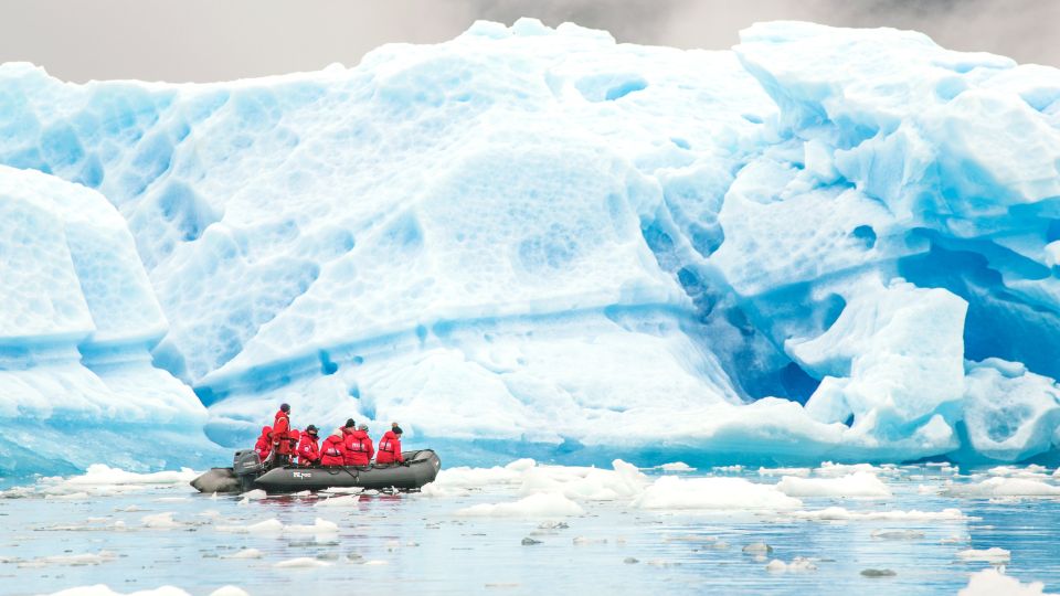 Zodiactour an riesigen Eisbergen