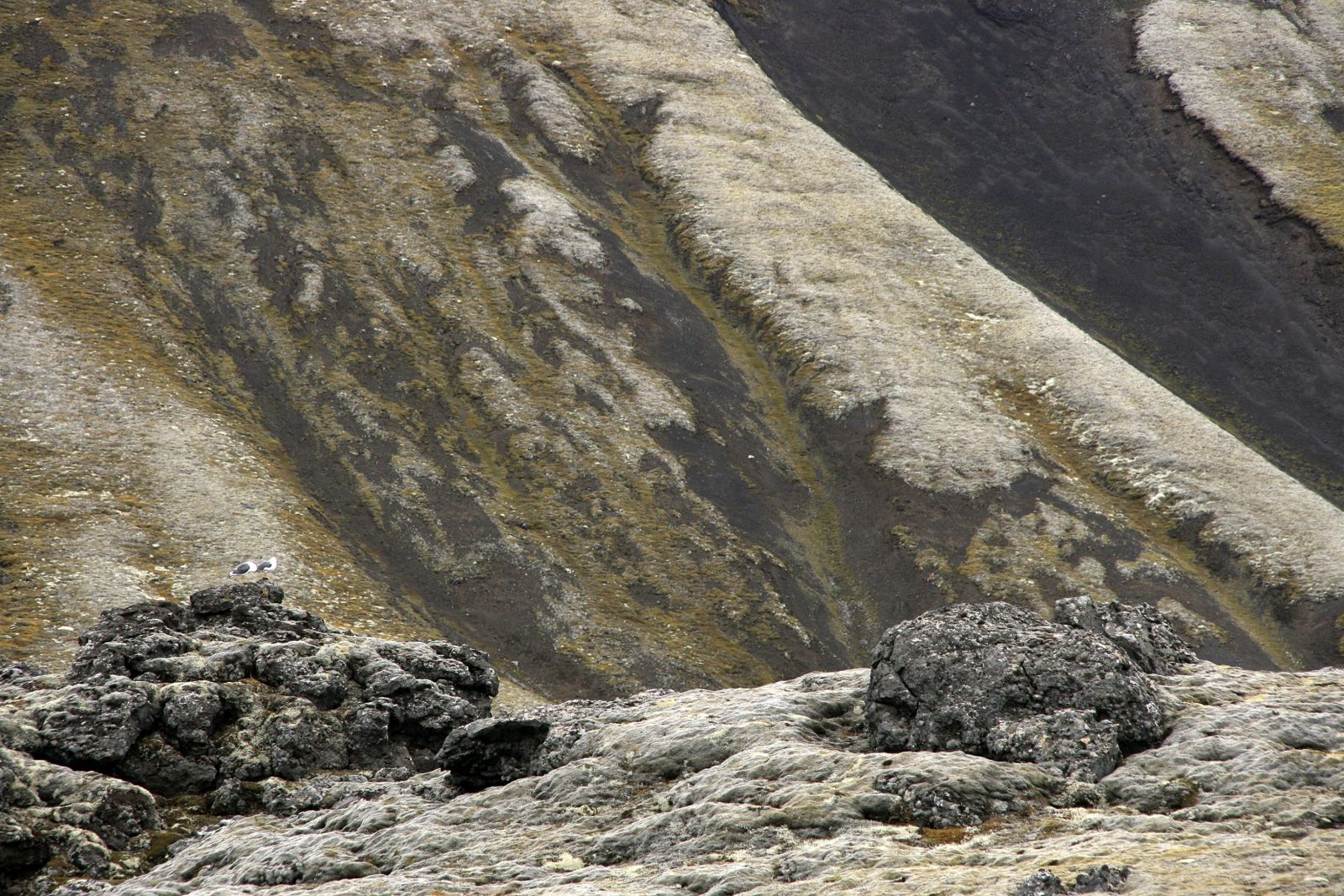 Jan Mayen, einsames Eiland mitten im Atlantik