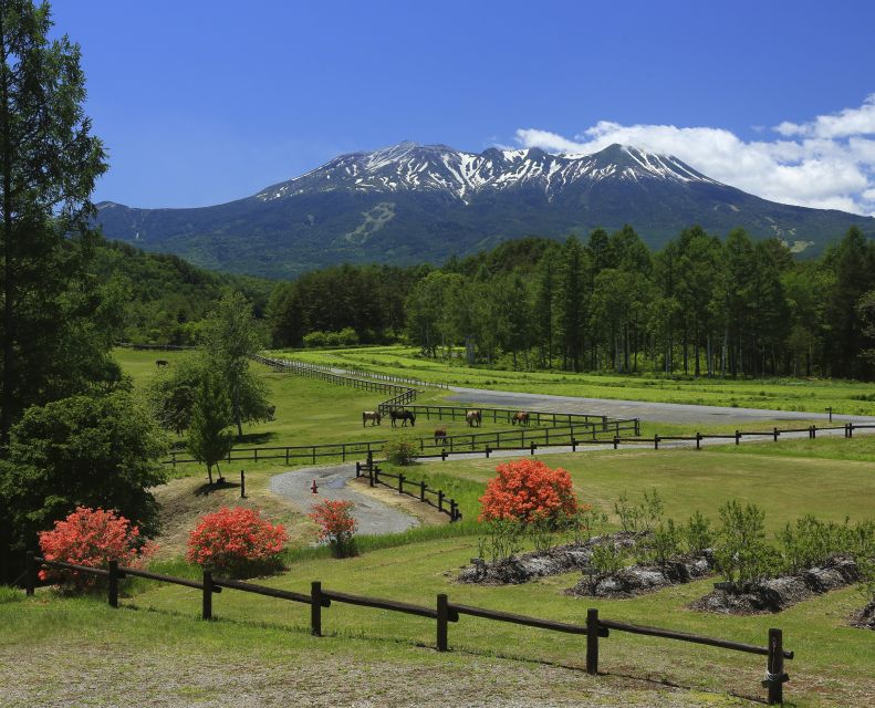 Blick über das  Kiso-Tal zum Mt.Ontake (3067m)