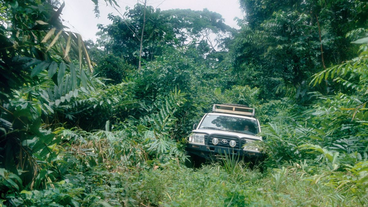 Mit dem Geländewagen tief in den Dschungel Gabuns