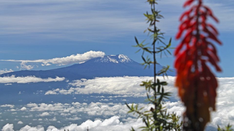 Blick vom Meru auf den Kilimanjaro