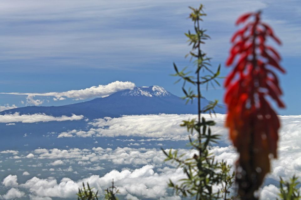 Blick vom Meru auf den Kilimanjaro