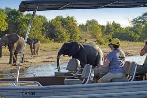 Zu den Elefanten am Chobe-Fluss