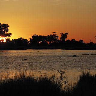 Sonnenuntergang im Okavango Delta