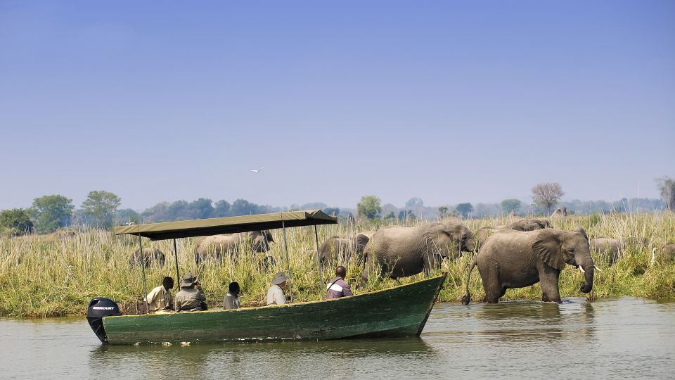 Bootsfahrt auf dem Shire-Fluss im Liwonde-Nationalpark