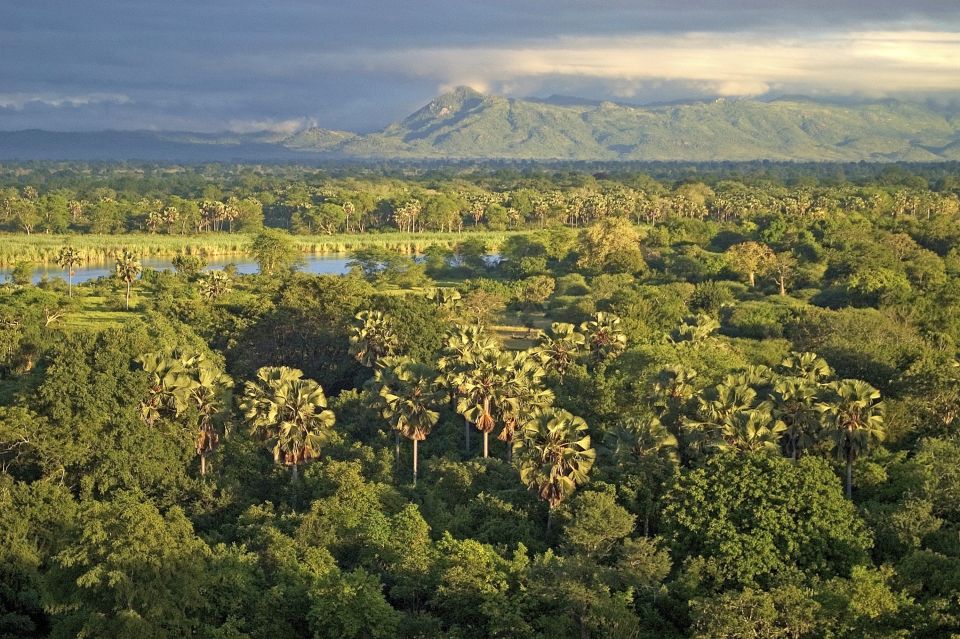 Panoramablick auf den Liwonde-Nationalpark