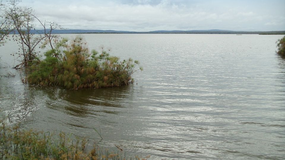 Blick auf den Lake Ihema im Akagera NP