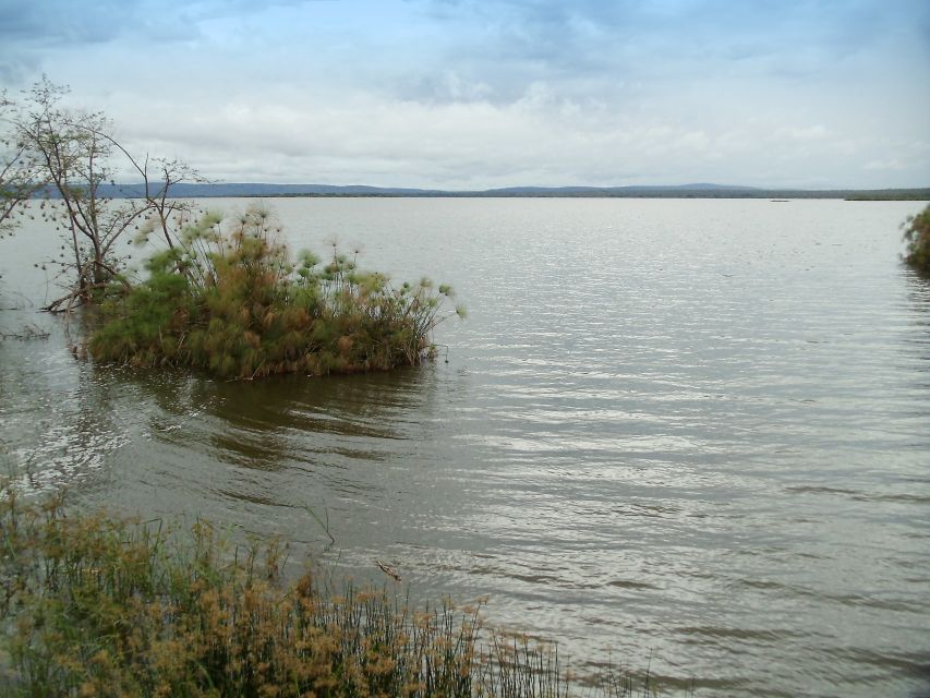 Blick auf den Lake Ihema im Akagera NP