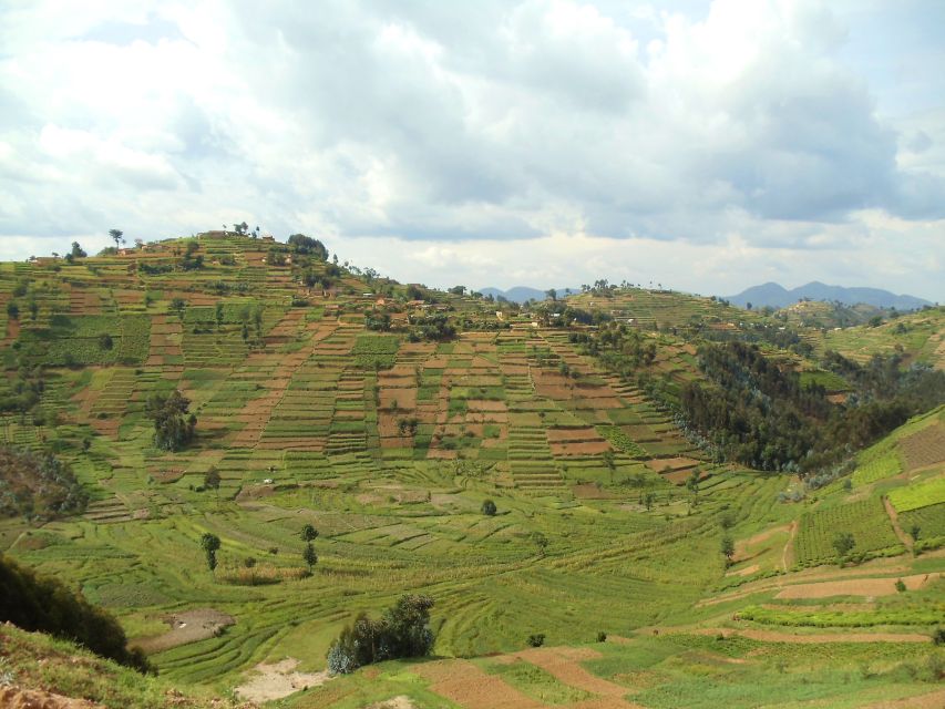 Hügellandschaft in Ruanda