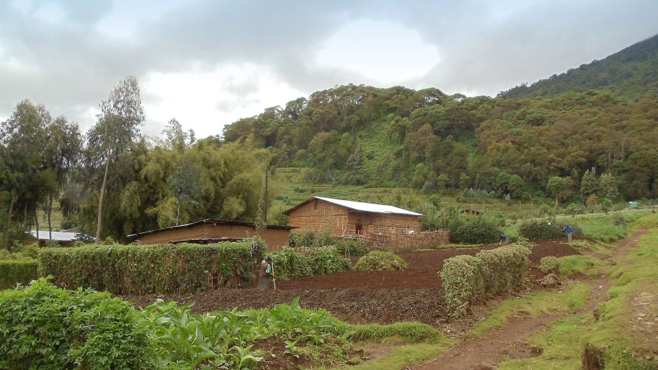 Kultivierte Landschaft in Ruanda