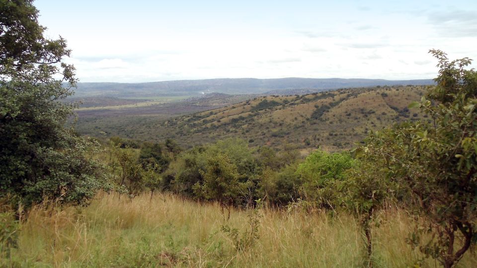 Landschaft des Akagera NP