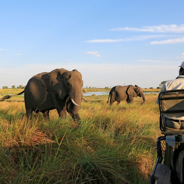 Reisetraum Botswana – statt träumen selbst erleben …