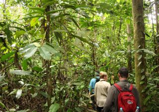 Wanderung durch den Amazonasregenwald
