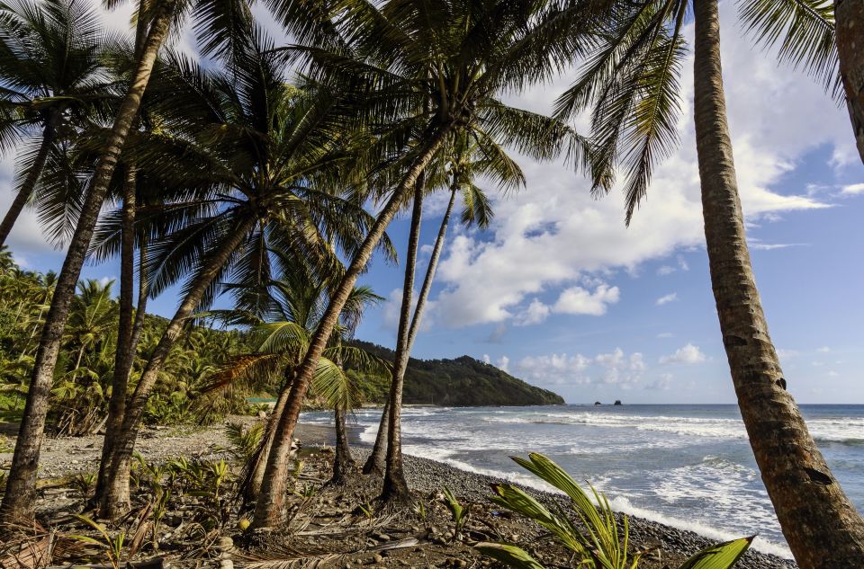 Palmenumsäumter Strand in Dominica
